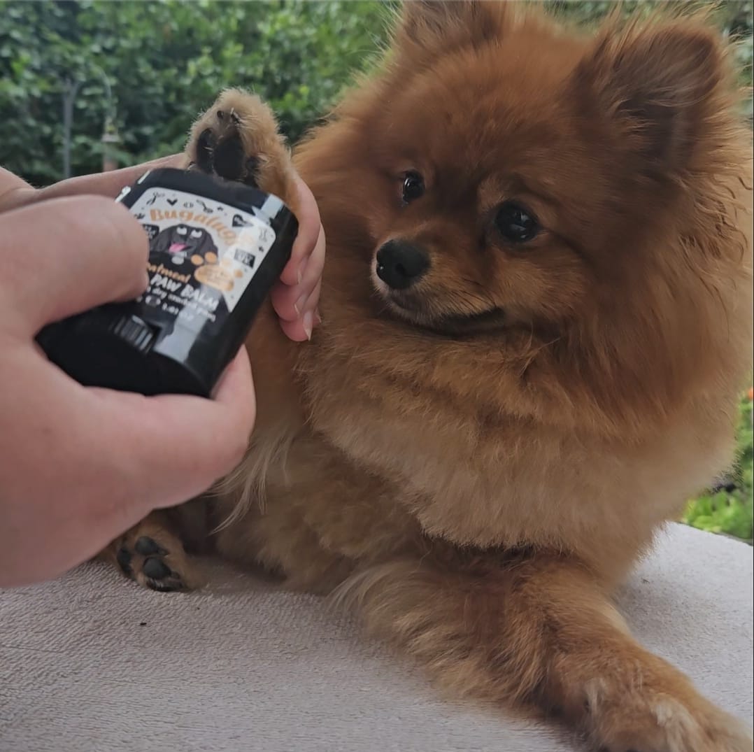 Customer photo review of Oatmeal Nose & Paw Balm Pot for Dogs