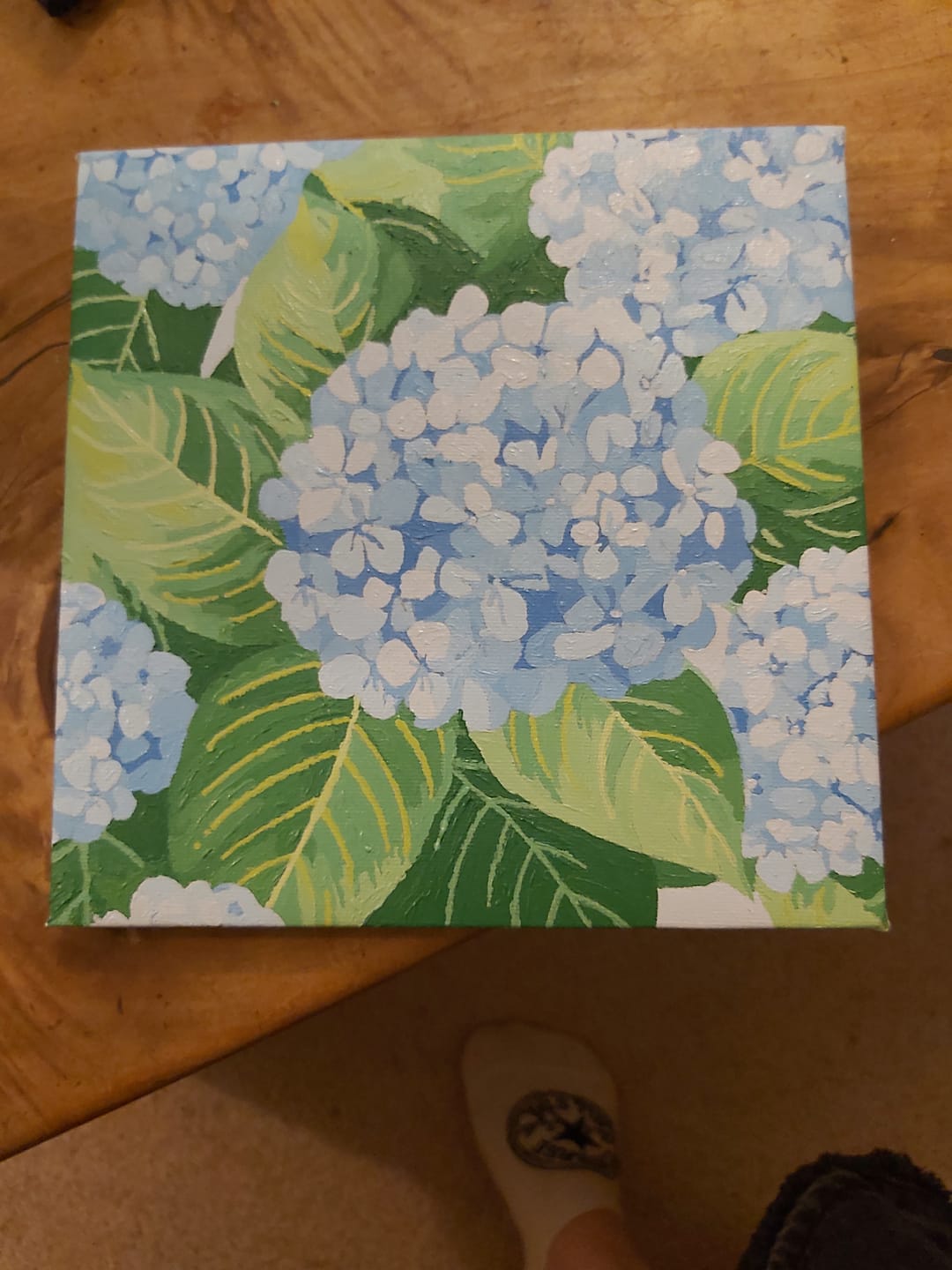 Customer photo review of Sky Hydrangea