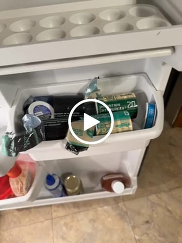 Customer video review of Mountain Wintergreen Nicotine Pouches