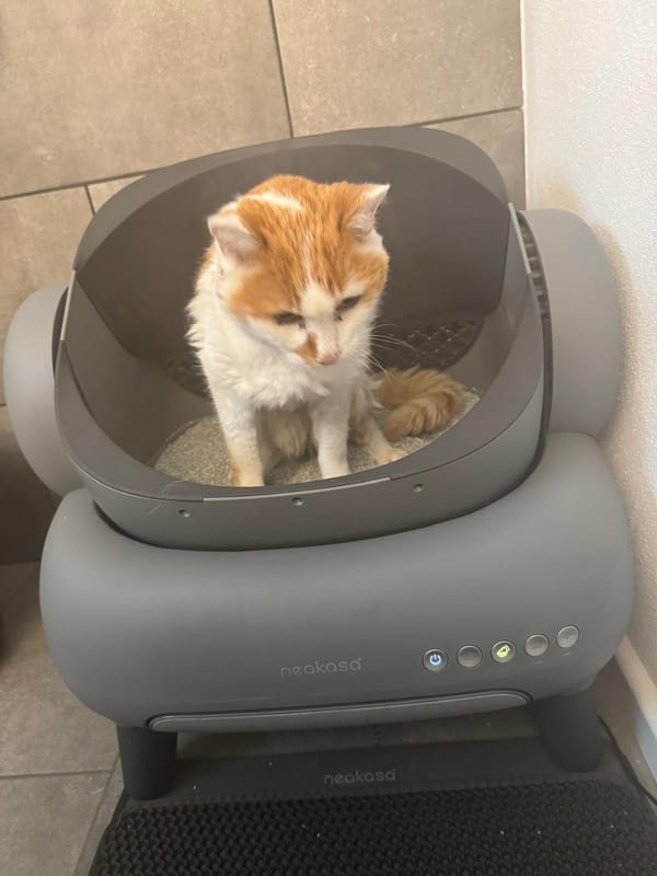 Customer photo review of Neakasa M1 Oben offene, Selbstreinigende Katzentoilette