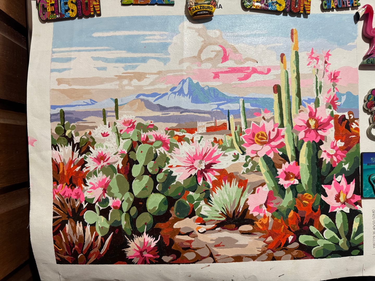 Customer photo review of Cactus Kit