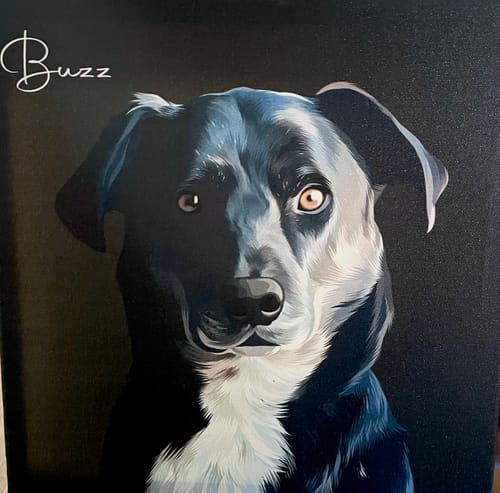Customer photo review of Pet Art Canvas Wrap