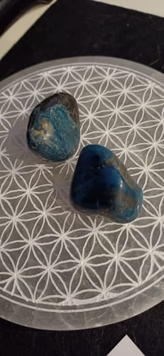 Customer photo review of Pierre Shattuckite