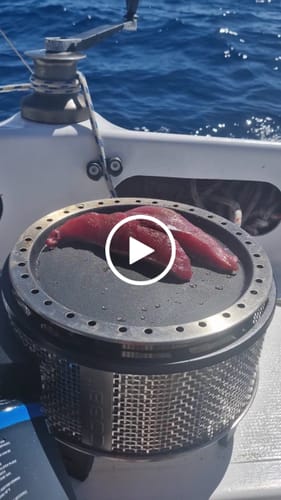 Customer video review of COBB Grill Gas Bundle