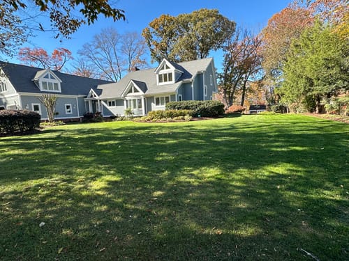 Customer photo review of GCI Turf Ca (Calcium) 1-0-1