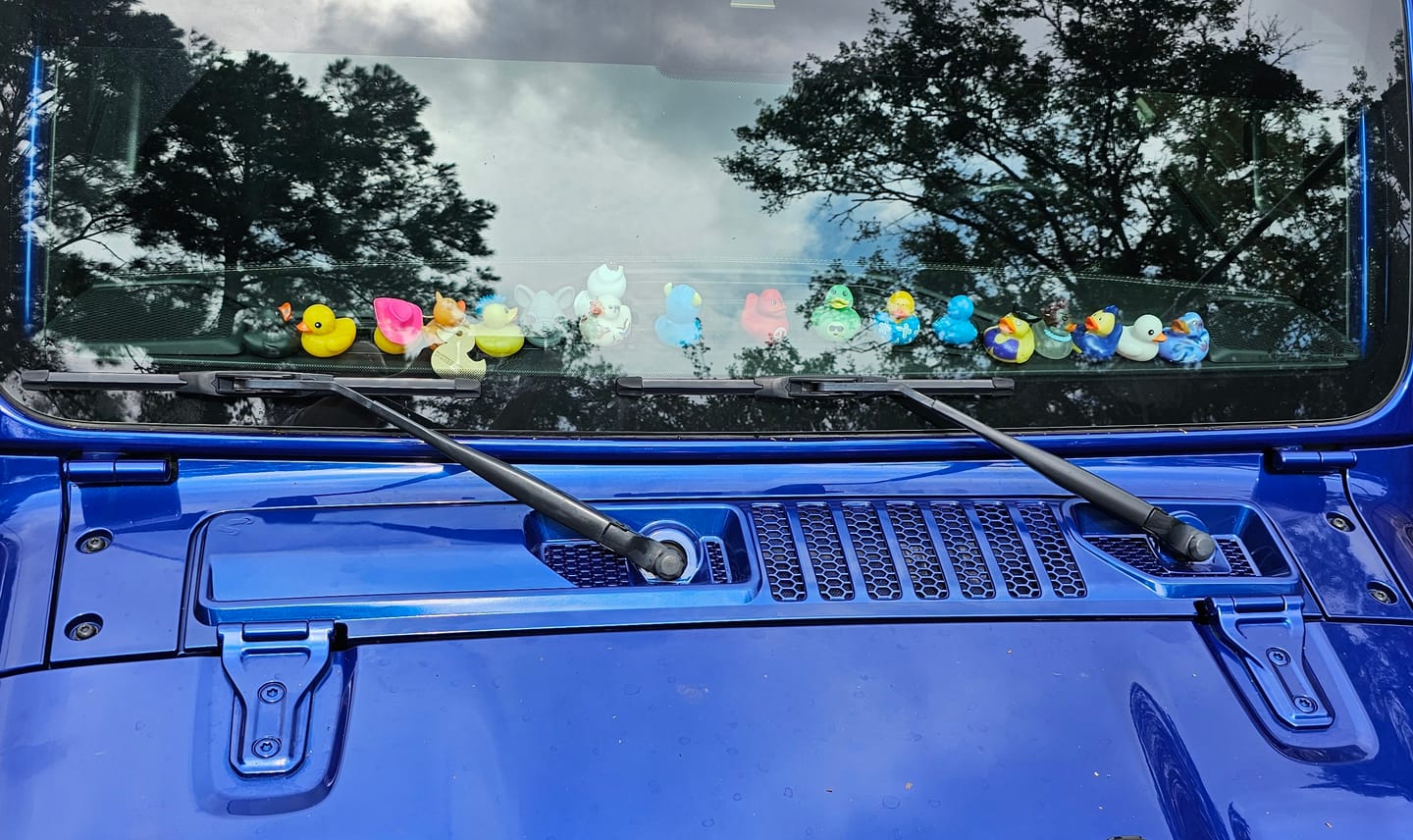 Customer photo review of OEM Cowl Wiper Panel Color Matched  JL JT 2018+  (14+Lead Time)