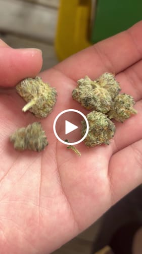 Customer video review of Value Indoor Smalls