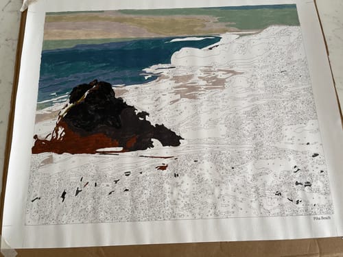 Customer photo review of Piha Beach