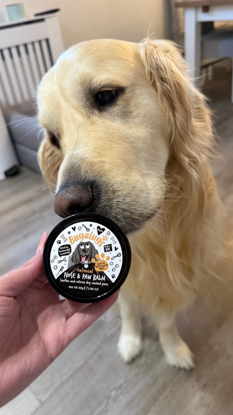 Customer photo review of Oatmeal Nose & Paw Balm Pot for Dogs
