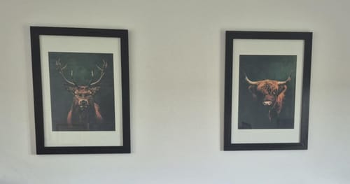 Customer photo review of Highlands Set of 2 Prints
