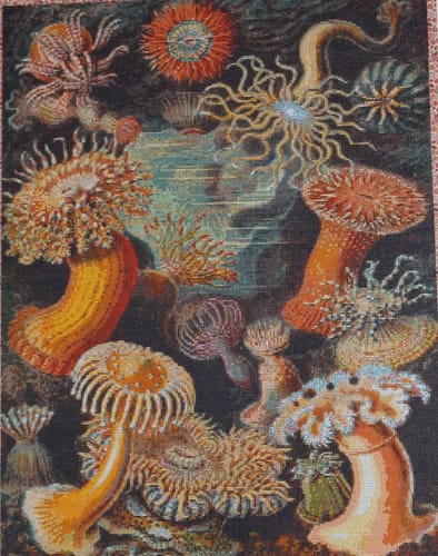 Customer photo review of Actiniae - Diamond Painting Kit - X-Large