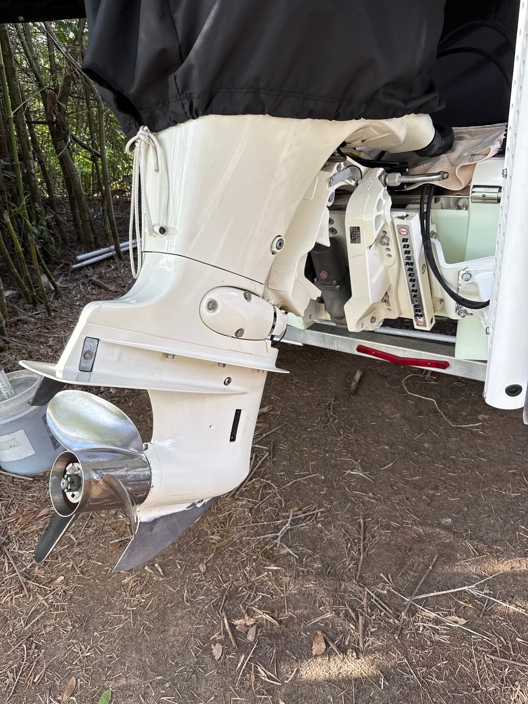 Customer photo review of Suzuki ECSTAR Marine Oil 10W-40 V7000 (Quart)
