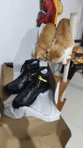 Customer photo review of Bacca Bucci Street Fighter