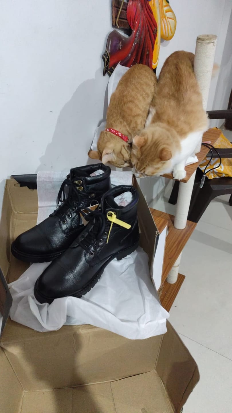 Customer photo review of Bacca Bucci Street Fighter