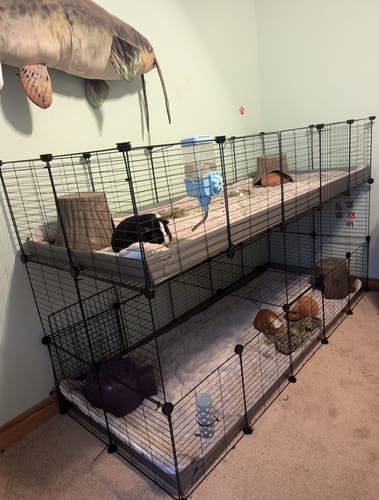 Customer photo review of Set of 2 Fleece Liners | Daisy