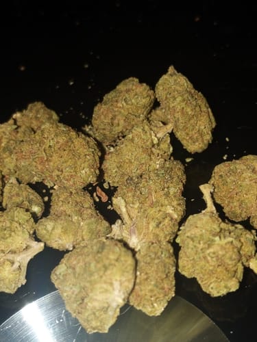 Customer photo review of Fuego Cereal Milk THC-A Flower - 4g (TRAPSTASH)