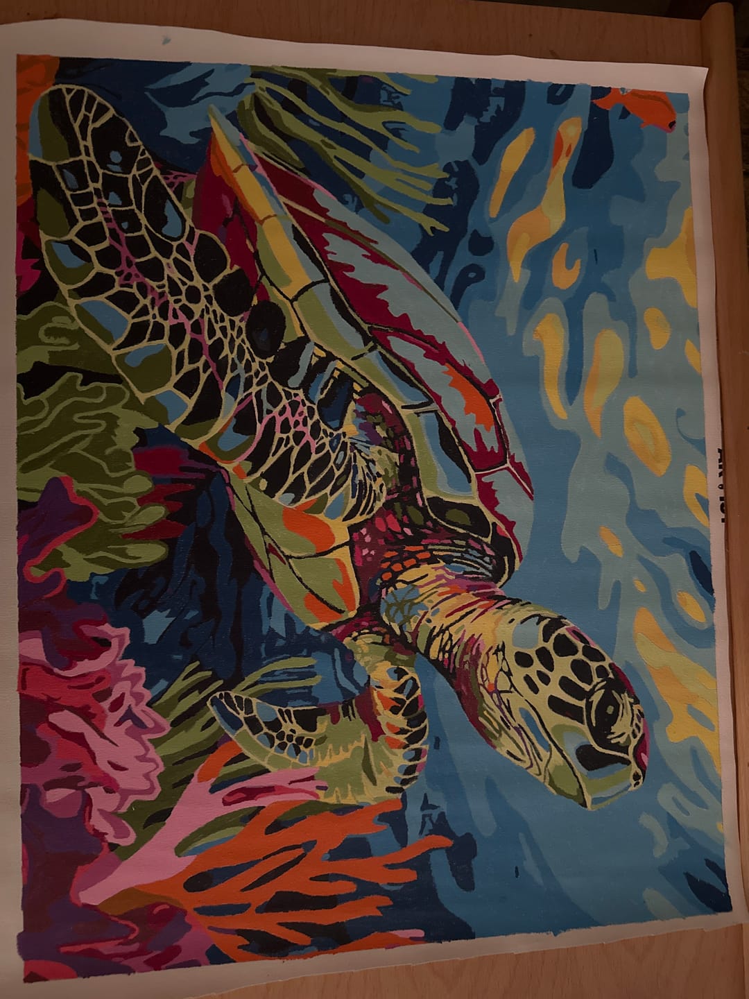 Customer photo review of Coral Reef Turtle