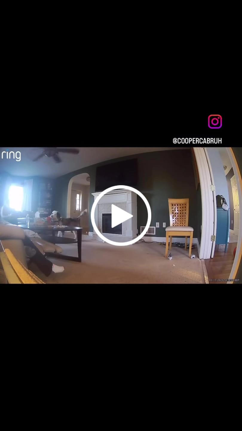 Customer video review of Speak Up! Button