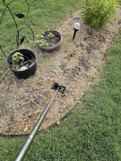 Customer photo review of GardenMate™ - Uprooting Tool Pro