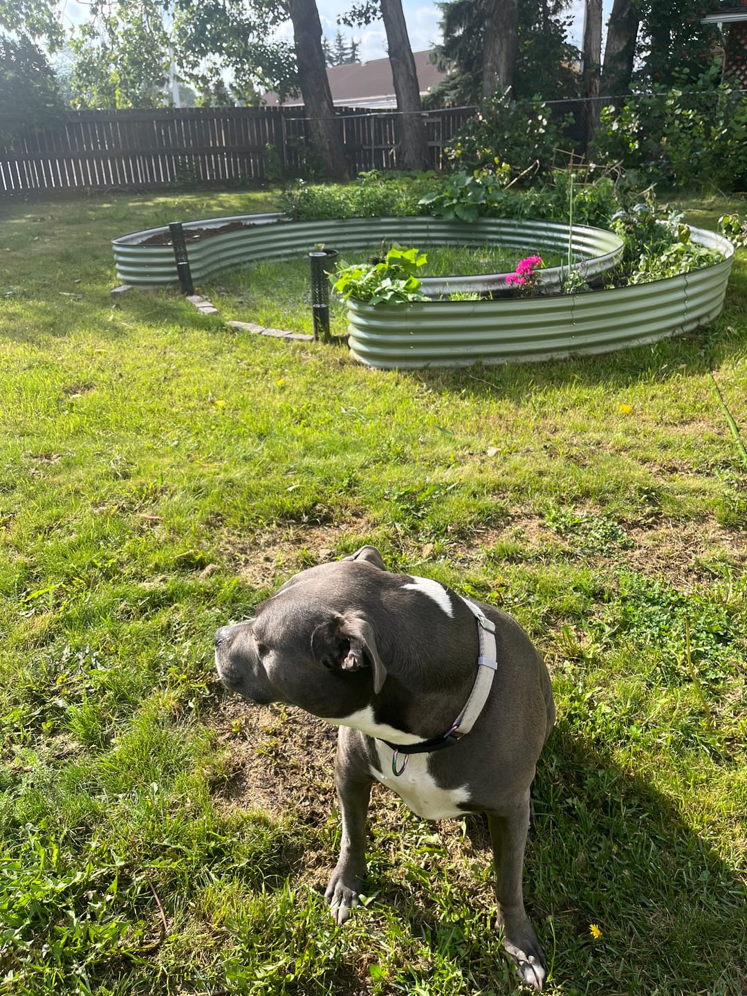 Customer photo review of 17" Tall Nest
