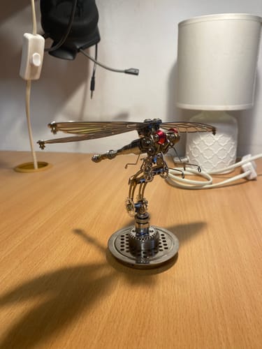 Customer photo review of Dragonfly