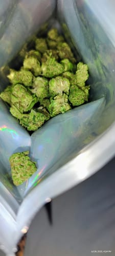 Customer photo review of Lemon Cherry Gelato Runtz - 28 Grams Littles - Indica