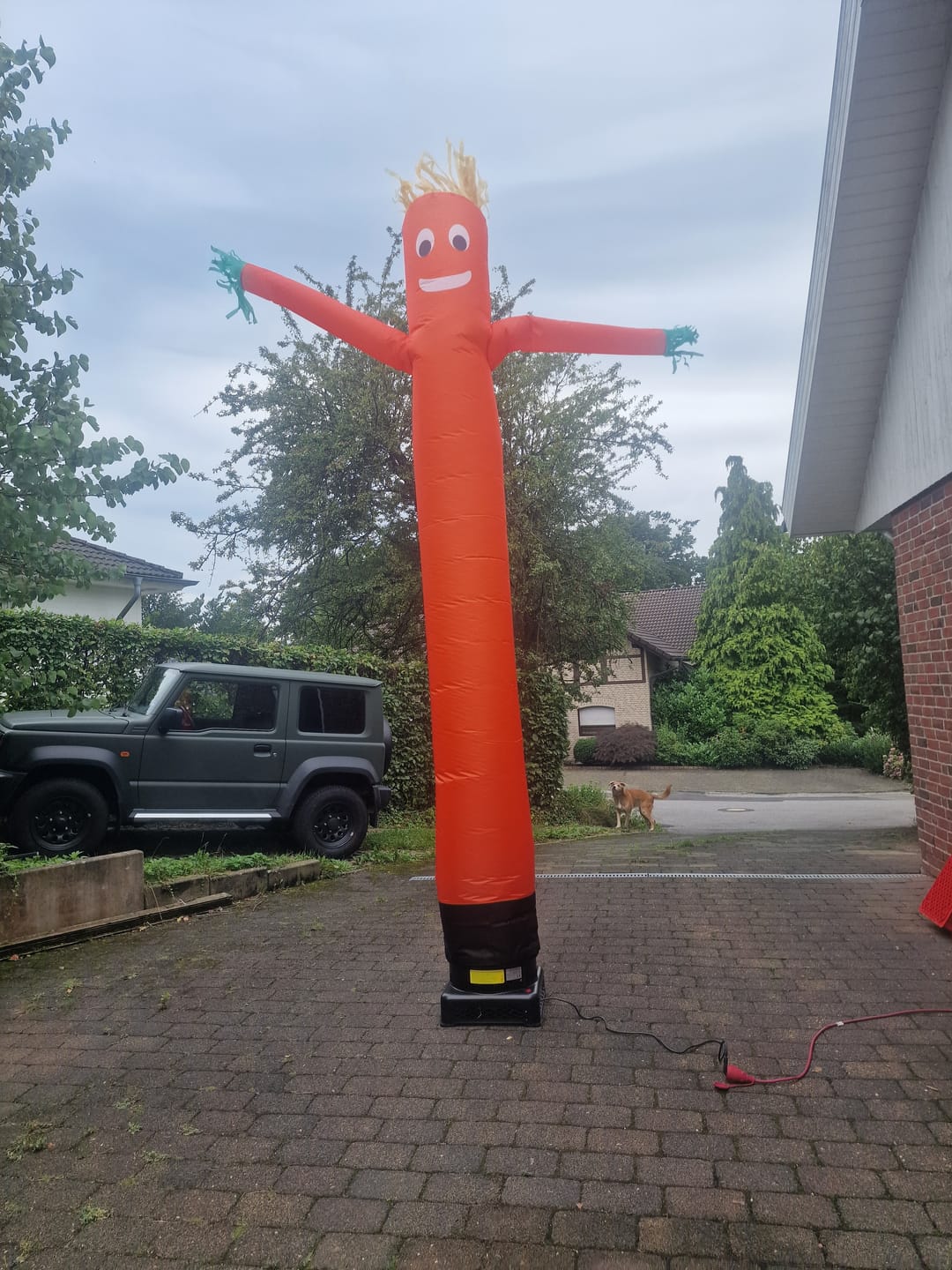 Customer photo review of Sky dancer fan Economy