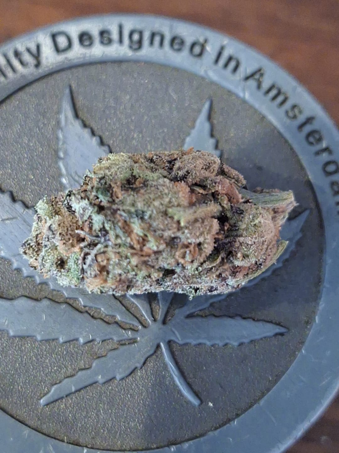 Customer photo review of Danky Kong