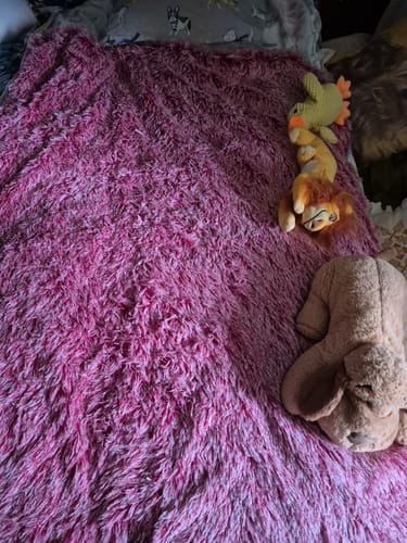 Customer photo review of PaWz Pet Calming Blanket