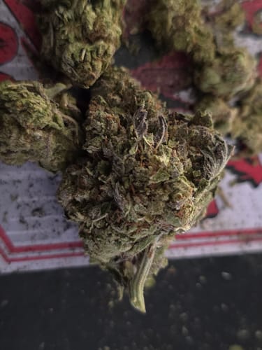 Customer photo review of Dealer's Choice