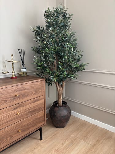 Customer photo review of Pre-Order Kunst Olijfboom 170cm Deluxe (20 aug)