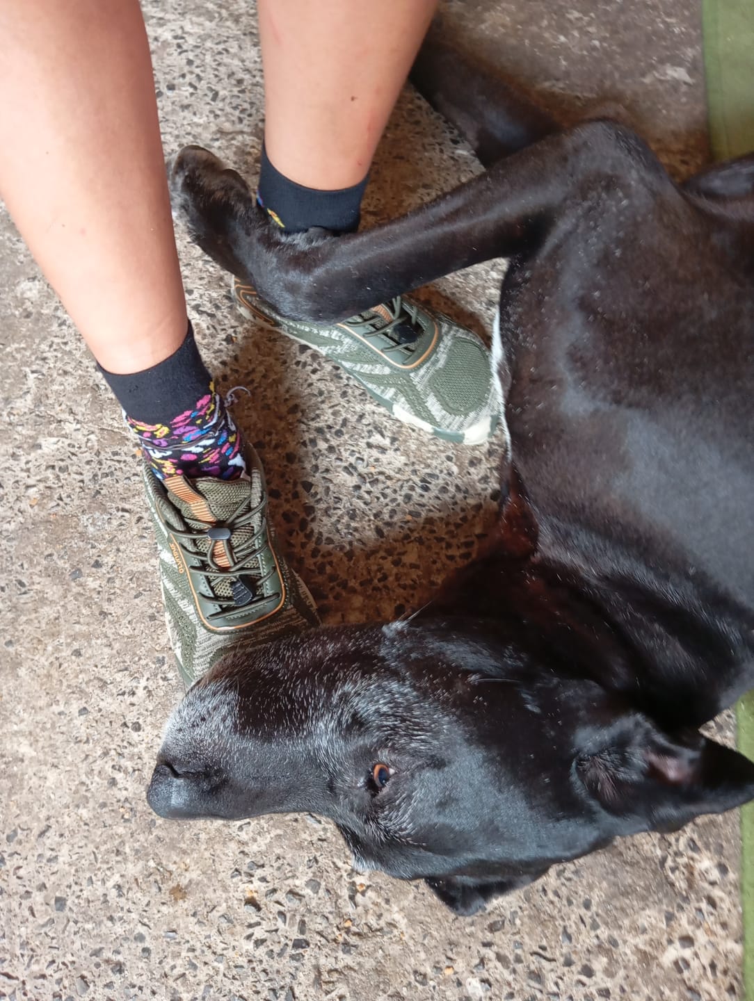 Customer photo review of Active II - Zapatos Barefoot