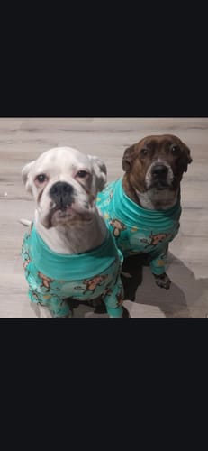 Customer photo review of Dog Pajama - Monkey Business