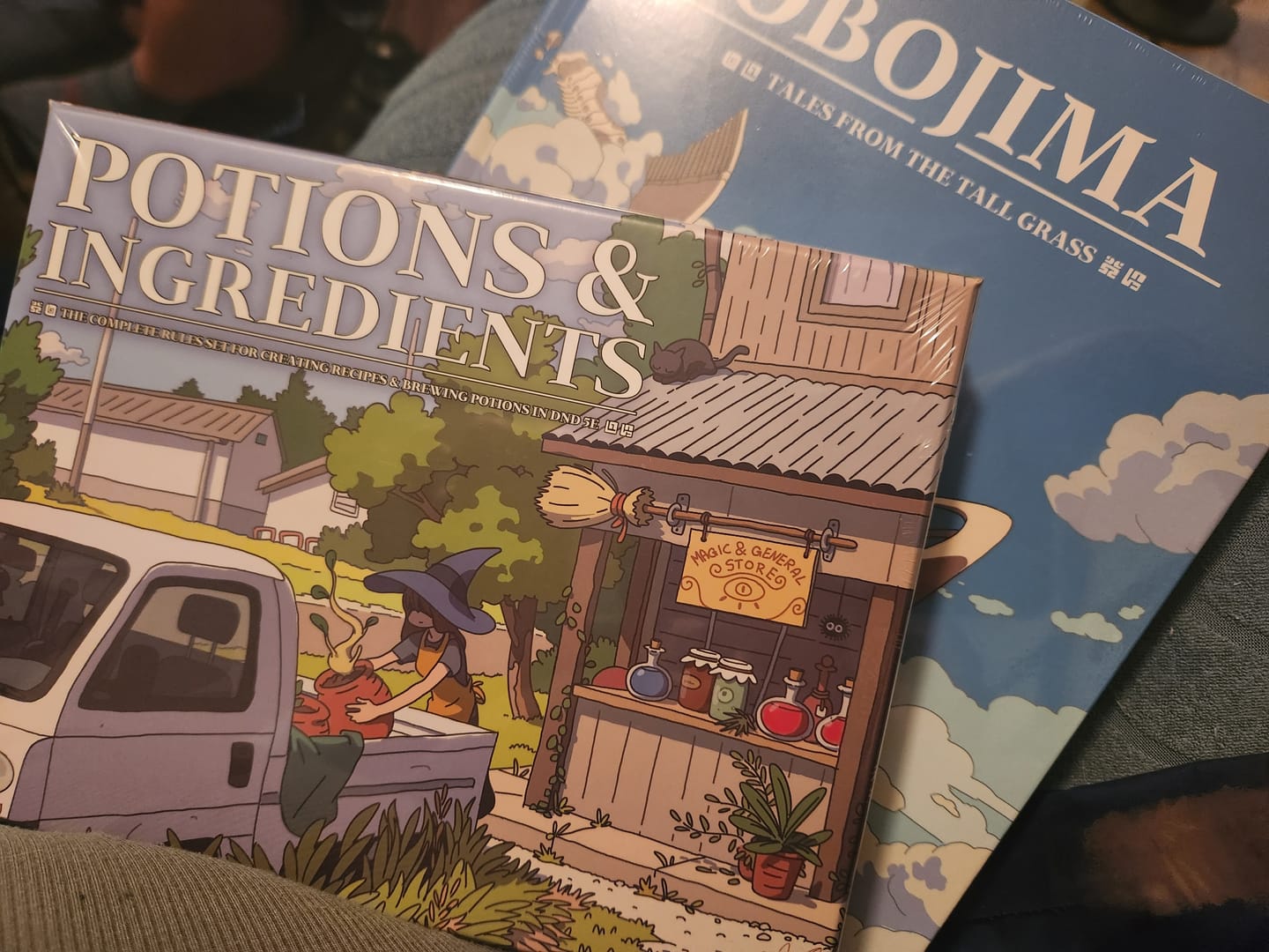 Customer photo review of Potion & Ingredient Deck - Box (Preorder June 2025)