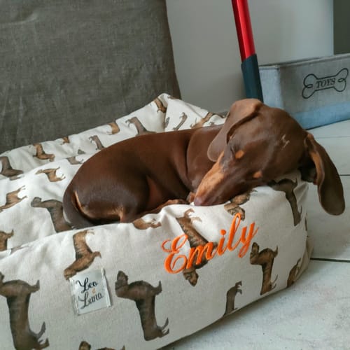 Customer photo review of Divanetto Cotone Panama Bassotto