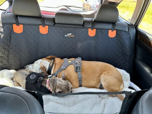 Customer photo review of RuffRover 2.0™ - Hard Bottom Back Seat Extender + (FREE Dog Bed)