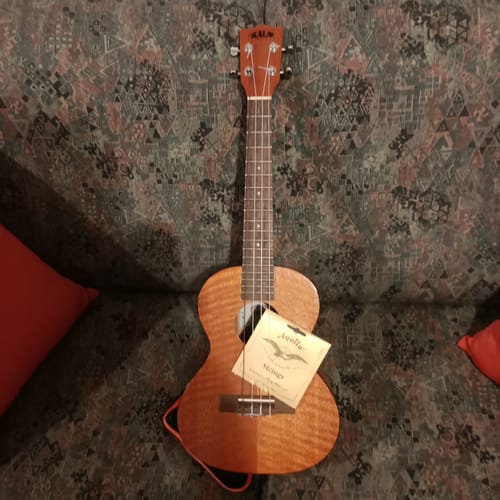 Customer photo review of AQ11U Tenor Strings with DGBE baritone tuning Aquila Corde Armoniche