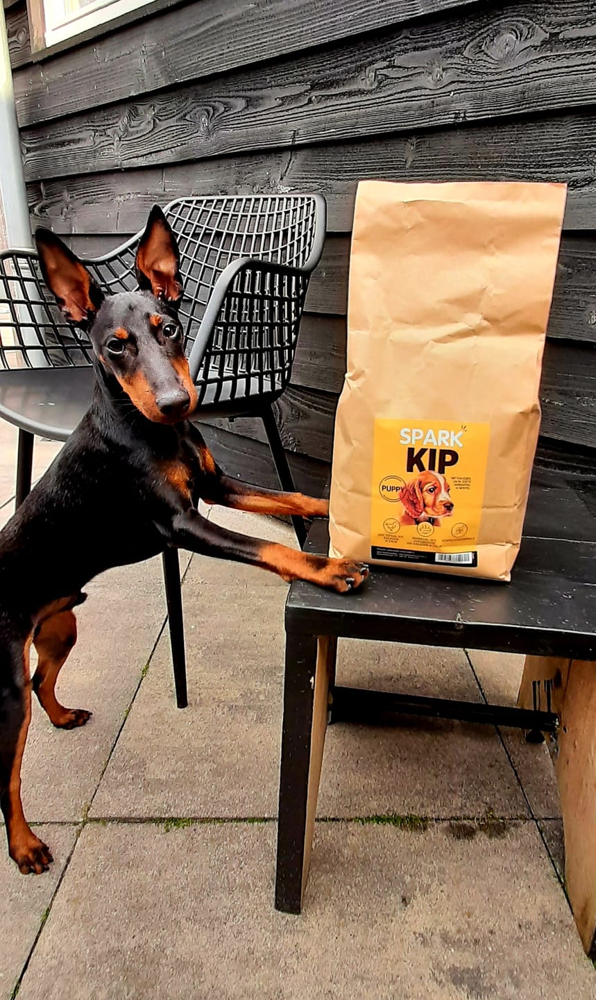 Customer photo review of Puppy - Kip met Kalkoen, Zalm, Zoete Aardappel & Wortel
