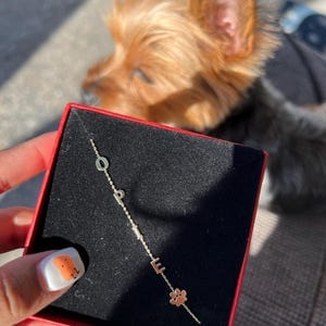 Customer photo review of 14K Solid Gold Paw Print Bracelet