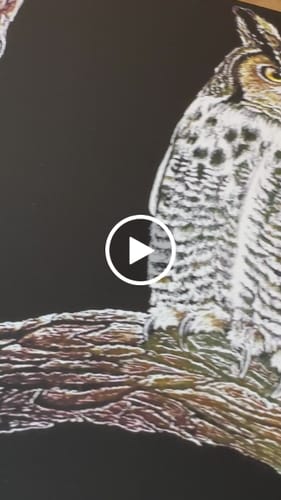 Customer video review of 7x10 Giclee Fine Art Prints