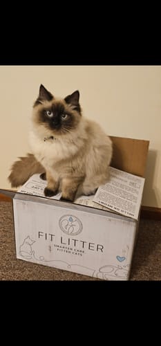 Customer photo review of Fit Litter PLUS - 1 month supply - 2 cat