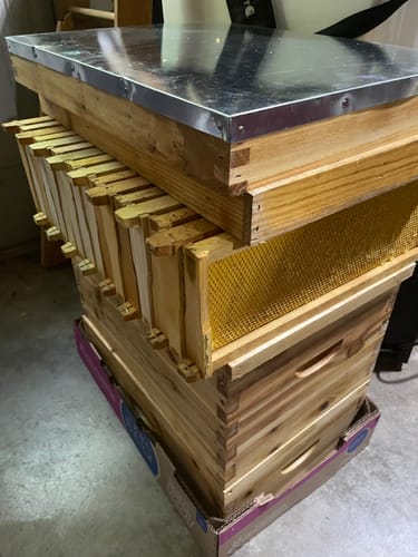 Customer photo review of BeeCastle Hives 8 Frame 2 Layer Screened Bottom Board Wax Dipped Beehive Kit with Deep Bee Box, Super Bee Box, Wooden Frames and Beeswax Plastic Foundation for Beekeeper