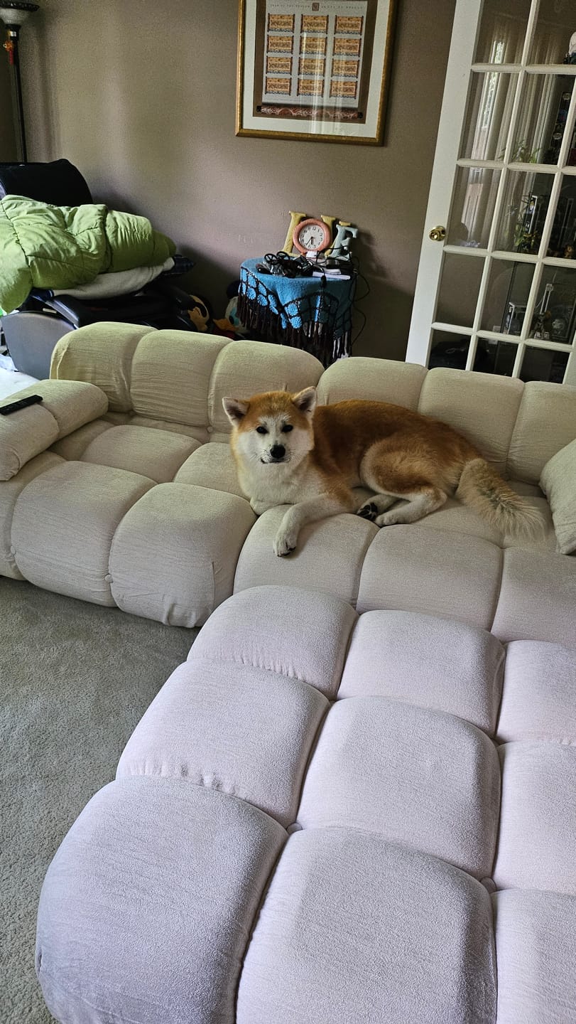 Customer photo review of Marshbello Sectional