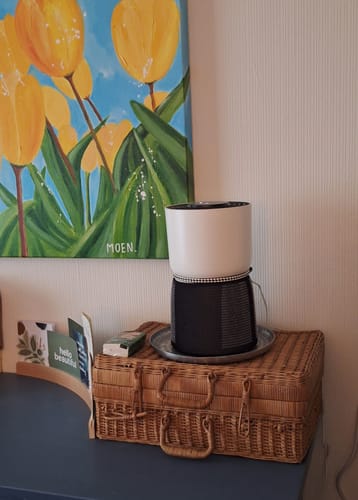 Customer photo review of Luchtreiniger voor mensen met allergieën / H13 HEPA-filter tegen stof, schimmel, pollen, stof en geurtjes / Luchtzuiveraar / Met luchtkwaliteitsindicatielamp