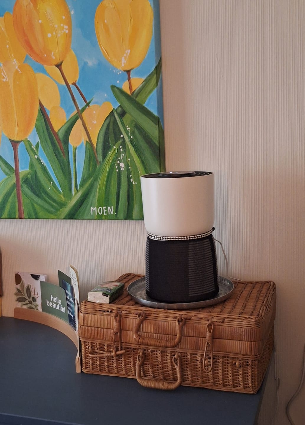Customer photo review of Luchtreiniger voor mensen met allergieën / H13 HEPA-filter tegen stof, schimmel, pollen, stof en geurtjes / Luchtzuiveraar / Met luchtkwaliteitsindicatielamp