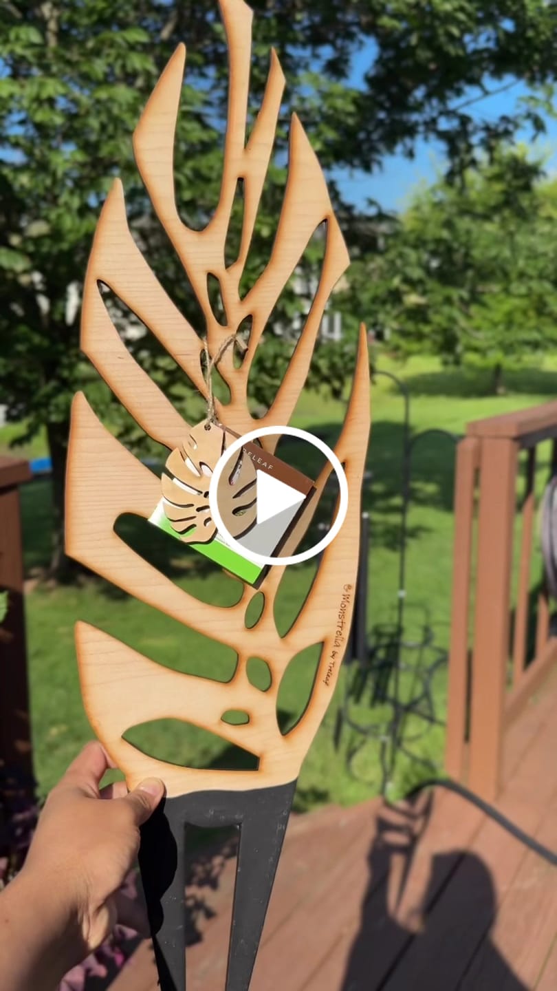 Customer video review of BARE™ Monstrella™ - Customizable Monstera shaped wooden plant support