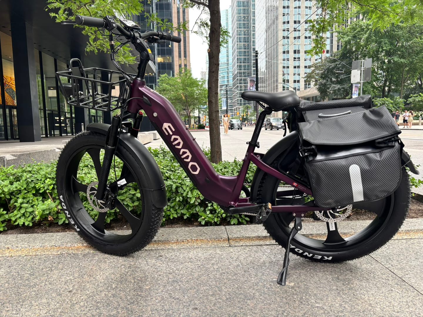 Customer photo review of Vegar Pro