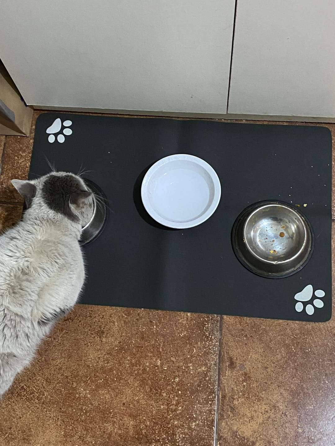 Customer photo review of Mat Absorbente para alimentación