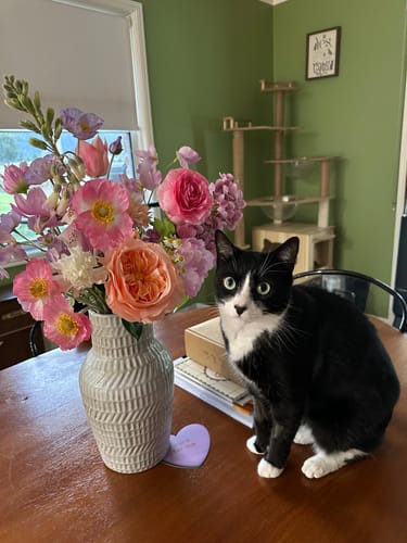 Customer photo review of Pastel Flowers