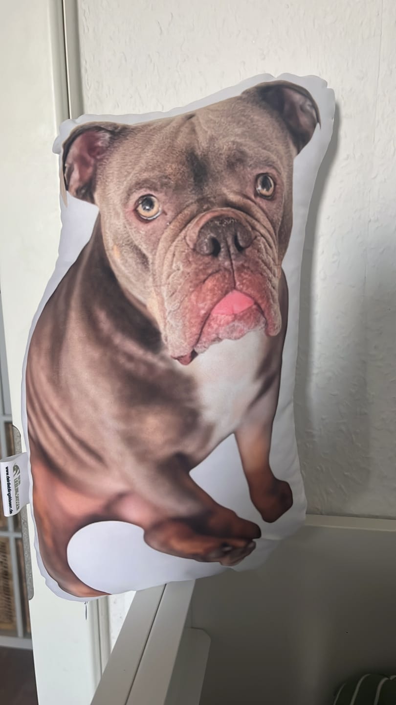 Customer photo review of Personalisiertes Hundekissen